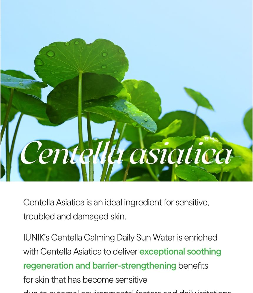 Centella Calming Daily Sun Water Mini