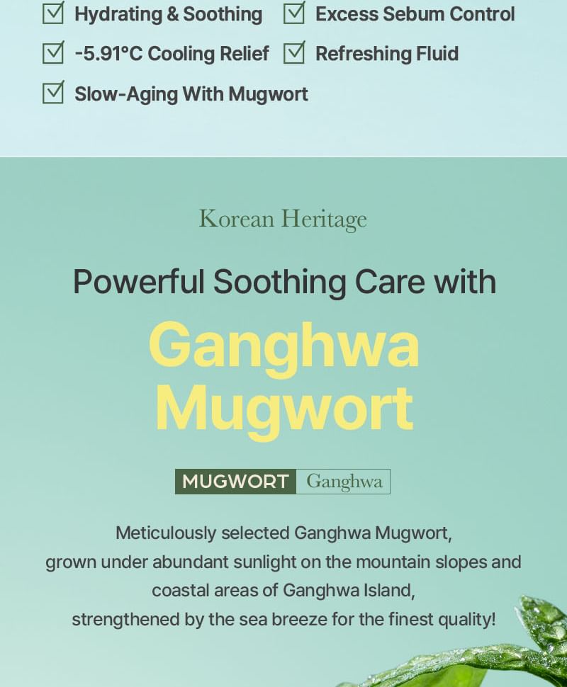 Mugwort Fluid Cream 2pcs Bundle Set