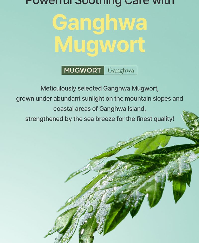 Mugwort Essence 2pcs Bundle Set