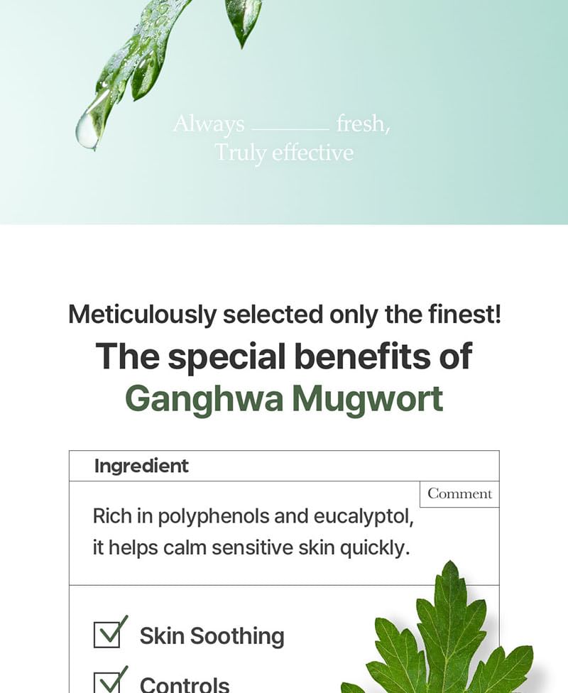 Mugwort Essence 2pcs Bundle Set