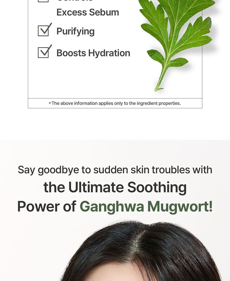 Mugwort Essence 2pcs Bundle Set