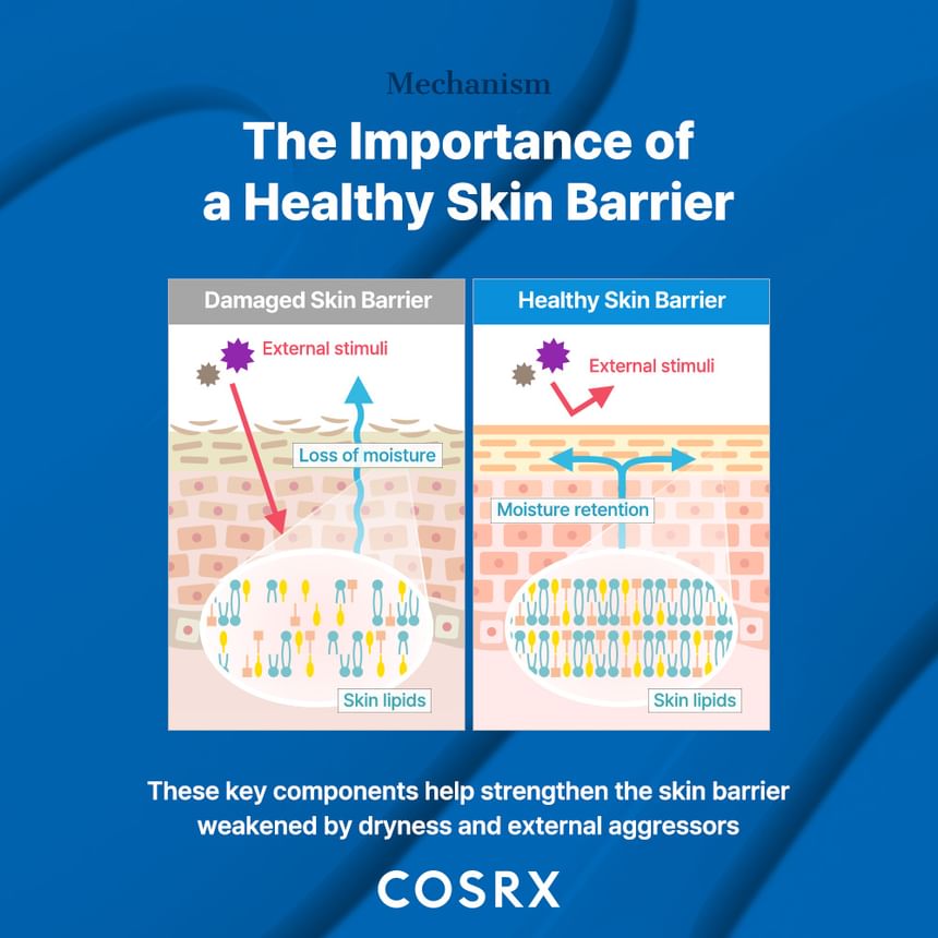 Skin Barrier Moisturizing Cream