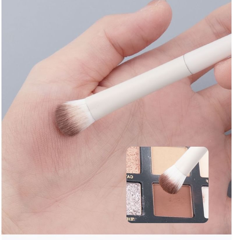 Eyeshadow Makeup Brush / Case / Set