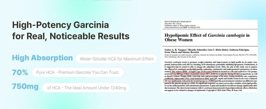Garcinia - 4 Types