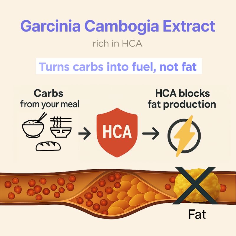Garcinia - 4 Types