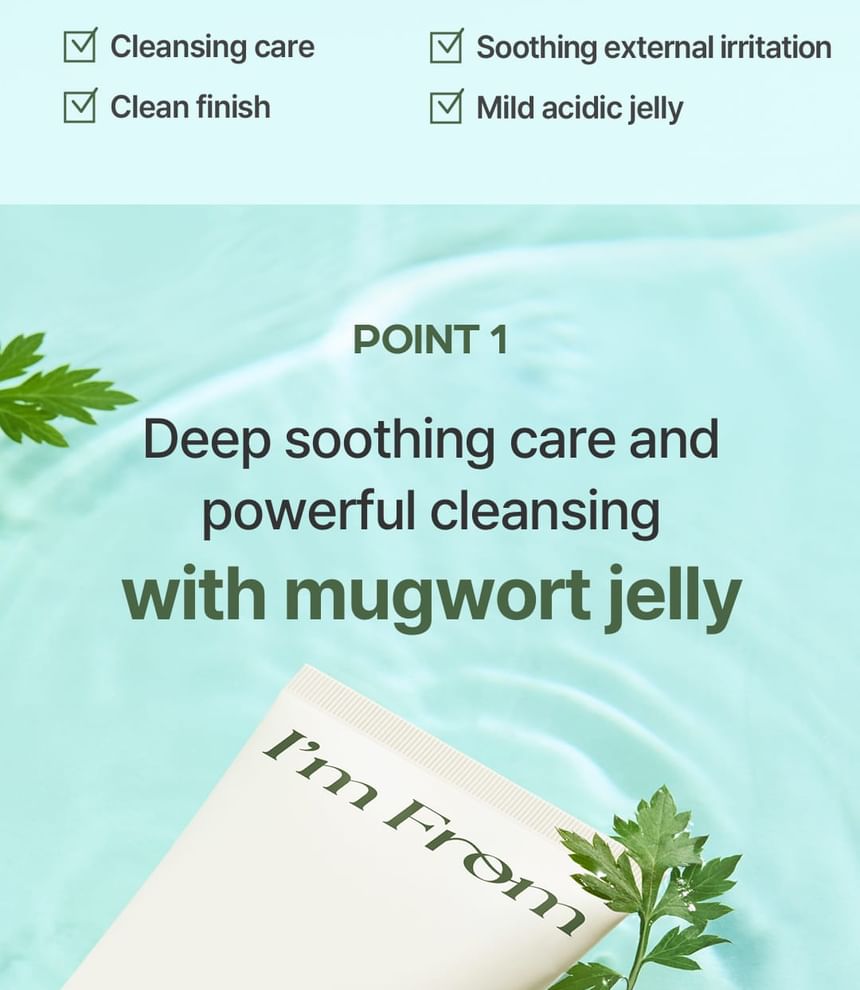 Mugwort Gel Cleanser 2pcs Bundle Set