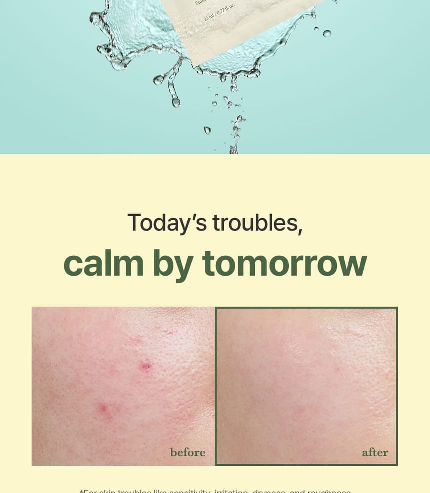 Mugwort Sheet Mask