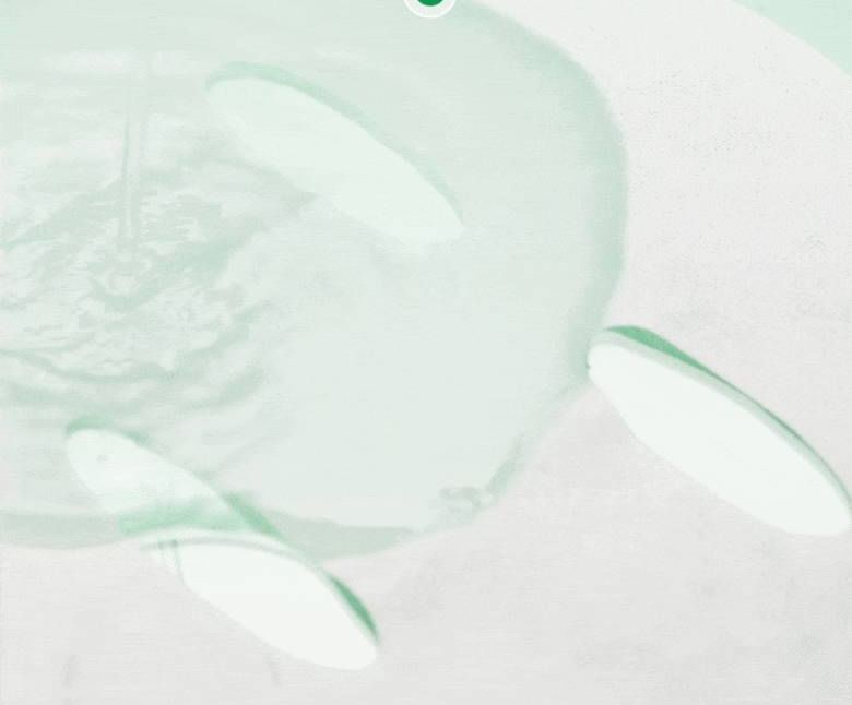 Heartleaf 77 Soothing Mask
