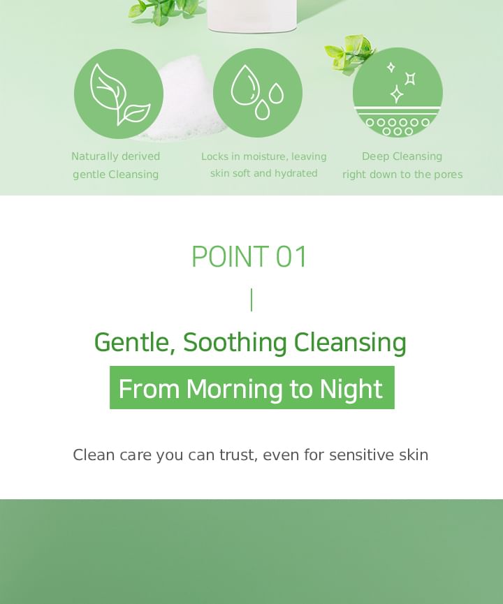 Blessing of Sprout Calming Cleanser