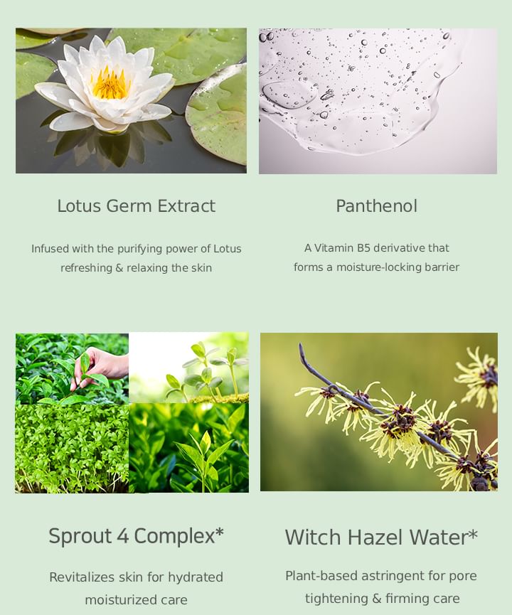 Blessing of Sprout Calming Cleanser