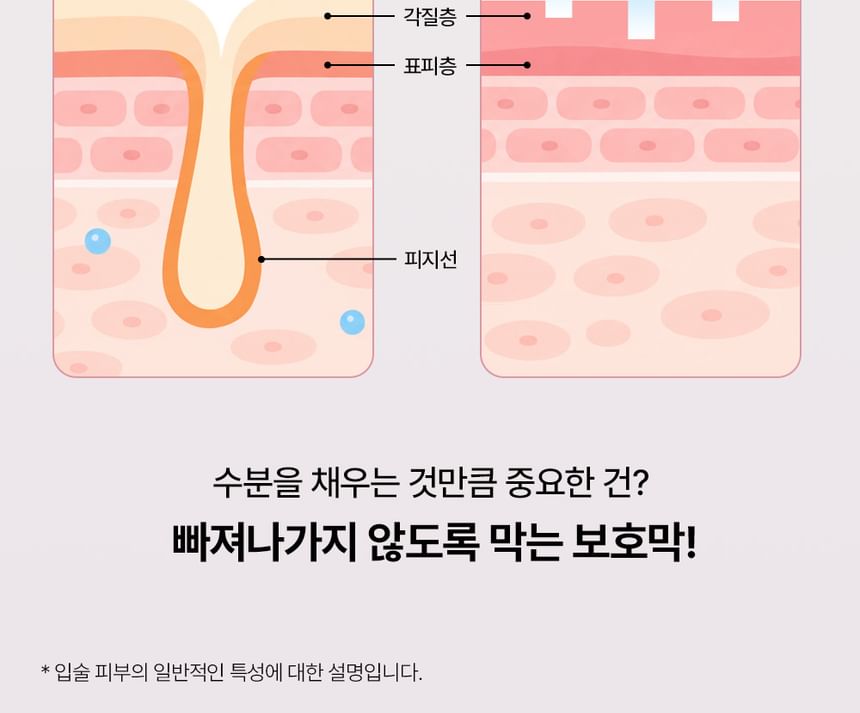 Honey Peptide Lipssence - 2 Colors